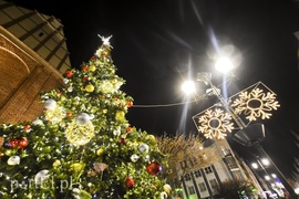 Choinka już zdobi Stare Miasto