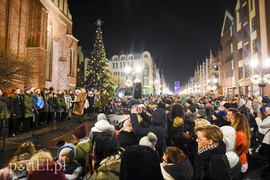 Choinka już zdobi Stare Miasto