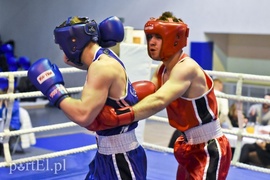 Tygrysy walczyły w ringu