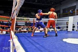 Tygrysy walczyły w ringu