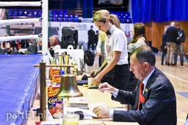 Tygrysy walczyły w ringu