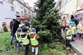 Tu ozdobą są ziarna i marchewki