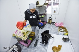 Płaczemy, ale robimy swoje