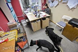 Płaczemy, ale robimy swoje