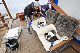 Płaczemy, ale robimy swoje