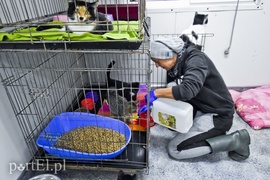 Płaczemy, ale robimy swoje