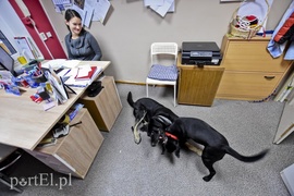 Płaczemy, ale robimy swoje