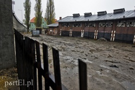 Pod wiaduktem przejścia nie ma