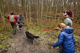 To nie jest typowy bieg