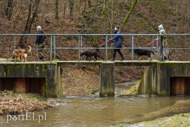 To nie jest typowy bieg