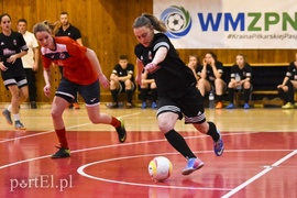 Lew wygrywa turniej Hanza Cup