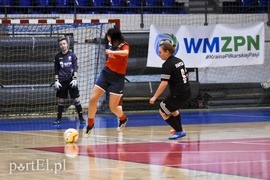 Lew wygrywa turniej Hanza Cup