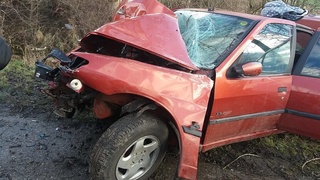 Uderzył w drzewo, nic mu się nie stało