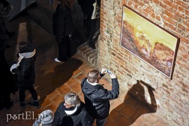 Powrót do przeszłości w Galerii EL