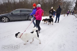 Zimowy spacer na sześć łap