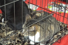 Czekamy na was w schronisku