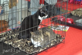 Czekamy na was w schronisku