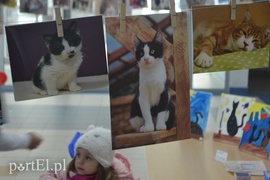 Czekamy na was w schronisku