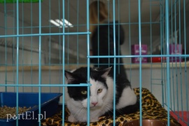 Czekamy na was w schronisku