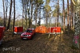 Wycinka, która budzi emocje