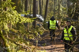 Wycinka, która budzi emocje