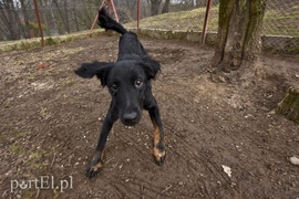 Galeria pod psem i kotem (Odc.45)