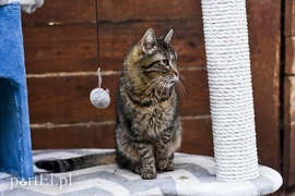 Galeria pod psem i kotem (Odc.46)