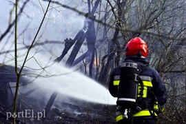 Pożar na skraju lasu