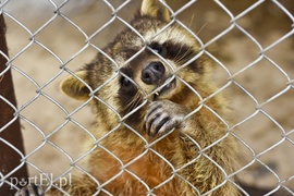 Co słychać w \"Jelonkach\" pod nowym adresem?