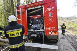 Pożar w środku lasu (aktualizacja)