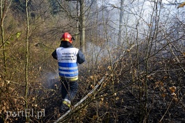 Pożar w środku lasu (aktualizacja)