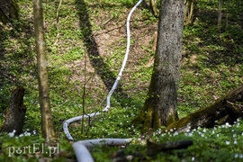 Pożar w środku lasu (aktualizacja)