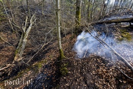 Pożar w środku lasu (aktualizacja)