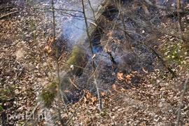 Pożar w środku lasu (aktualizacja)