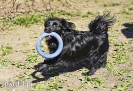 Galeria pod psem i kotem (Odc.51)