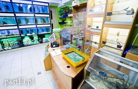 Dla nas liczy się dobro Twojego pupila!