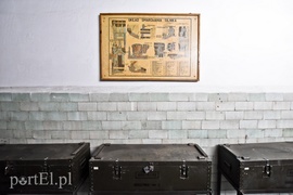 Stawiają na koła i gąsienice