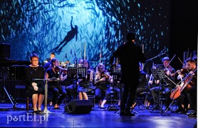 Niezwykły rejs po Morzu Czerwonym