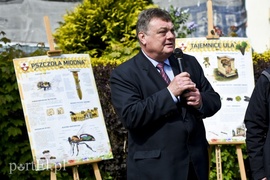 Domki czekają na pszczoły