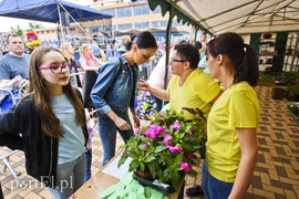 Zamieniali plastik na rośliny