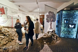 Wieczorne gry, pokazy i wystawy