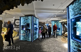 Wieczorne gry, pokazy i wystawy