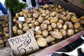 Klienci łapią się za głowę, ale kupują