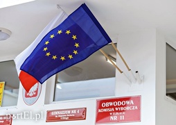 Wysoka frekwencja w wyborach do europarlamentu (aktualizacja)