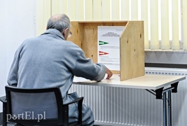 Wysoka frekwencja w wyborach do europarlamentu (aktualizacja)