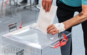 Wysoka frekwencja w wyborach do europarlamentu (aktualizacja)