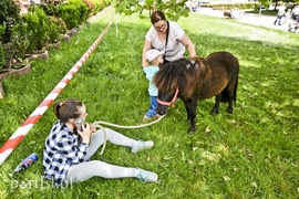 Raj dla burgerożerców