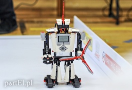 Roboty do boju!