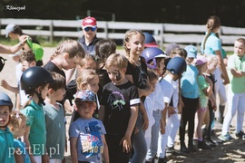 Pony Cup 2019 rozpoczęty