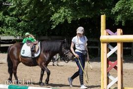 Pony Cup 2019 rozpoczęty